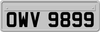 OWV9899