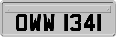 OWW1341