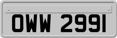 OWW2991