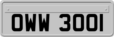 OWW3001