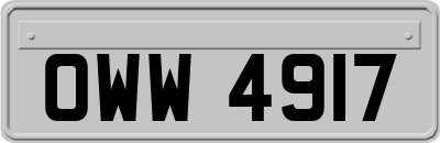 OWW4917
