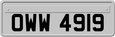 OWW4919