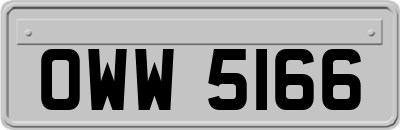 OWW5166