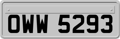OWW5293
