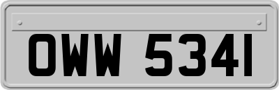 OWW5341