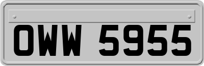 OWW5955