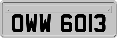 OWW6013