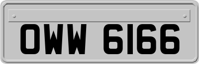 OWW6166