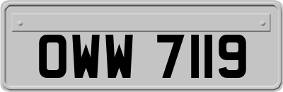 OWW7119