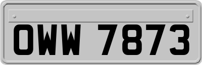 OWW7873