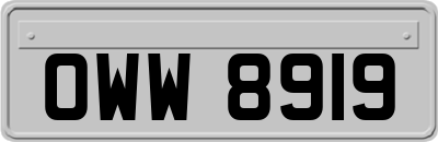 OWW8919