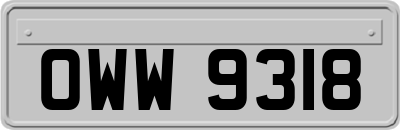 OWW9318