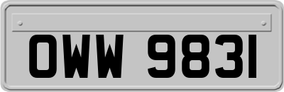 OWW9831