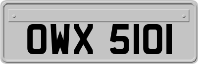 OWX5101