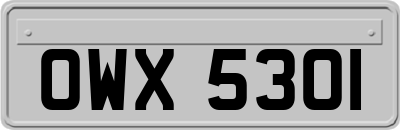 OWX5301