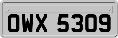 OWX5309