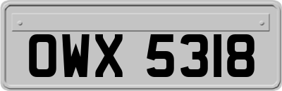 OWX5318