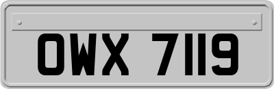 OWX7119