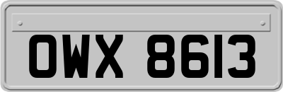 OWX8613