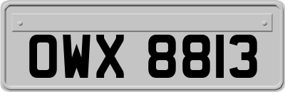 OWX8813