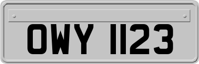 OWY1123