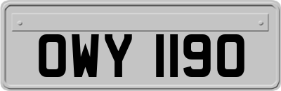 OWY1190