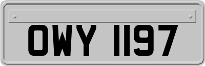 OWY1197
