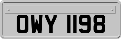 OWY1198