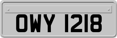 OWY1218
