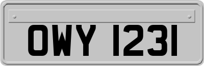 OWY1231