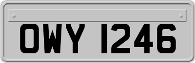 OWY1246