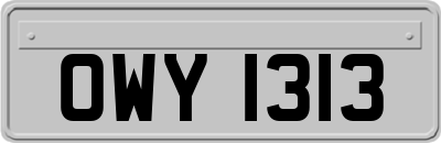 OWY1313