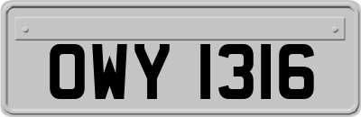 OWY1316