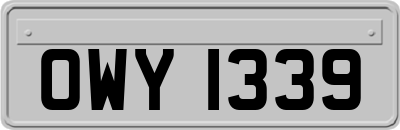 OWY1339