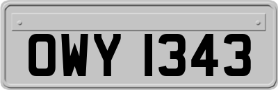 OWY1343