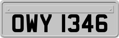 OWY1346