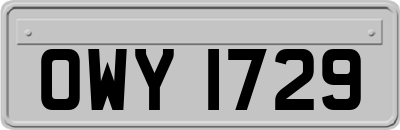 OWY1729