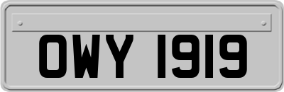 OWY1919