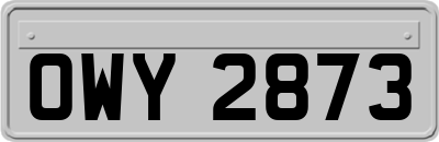OWY2873