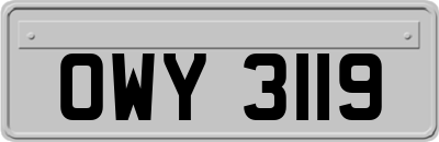 OWY3119