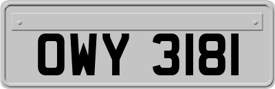OWY3181