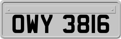 OWY3816