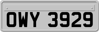 OWY3929