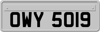 OWY5019