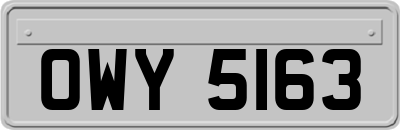 OWY5163