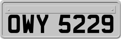 OWY5229
