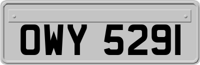 OWY5291