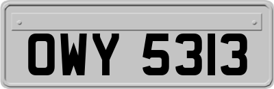 OWY5313
