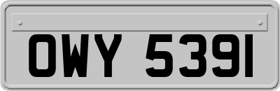 OWY5391