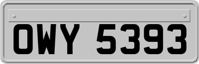 OWY5393